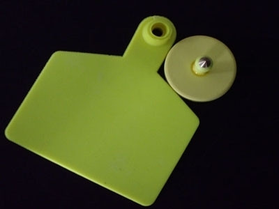 RFID Animal Ear Tag